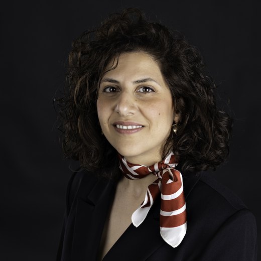 Areen Shtewe